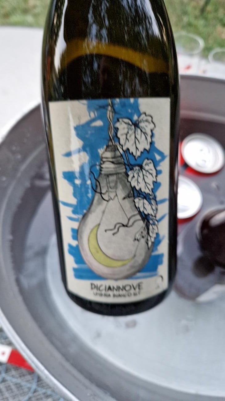 Diciannove - Lumiluna Casa Vinicola - Giulio Rinaldi & Luca Bigicchia 