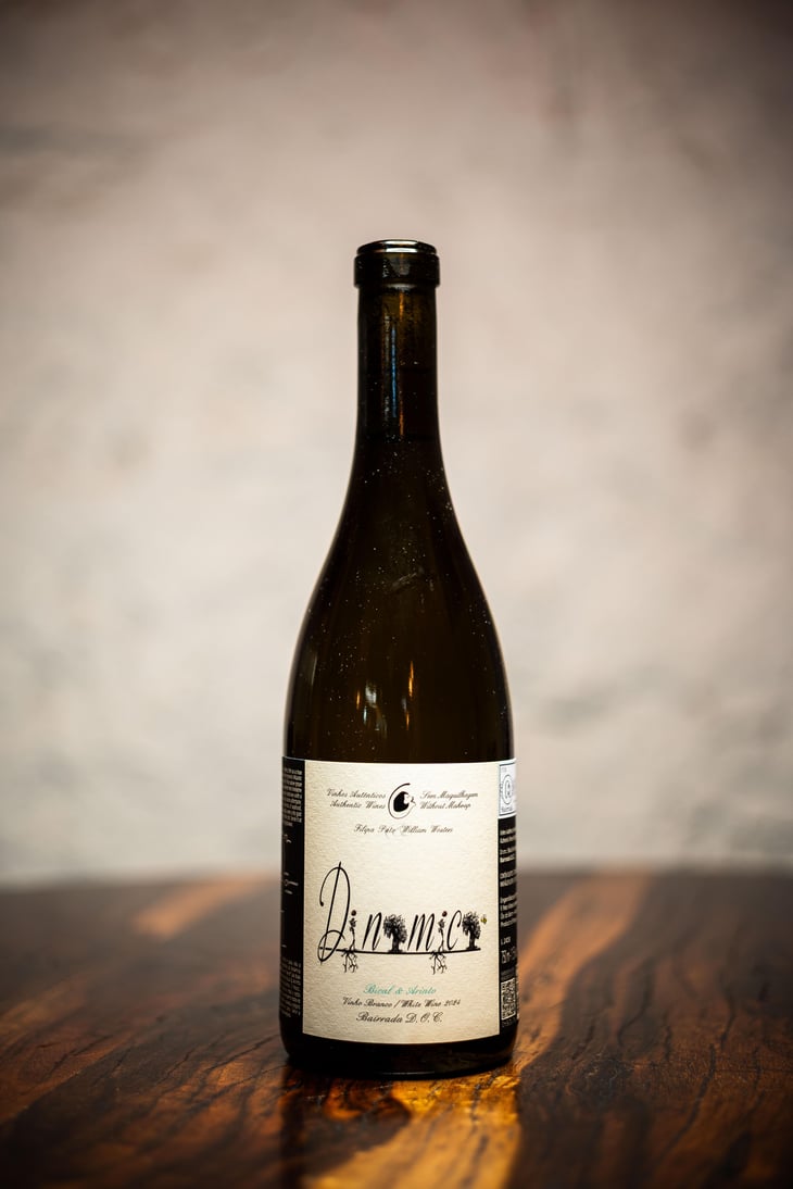 Dinamica Branco - Filipa Pato - Filipa Pato & William Wouters 