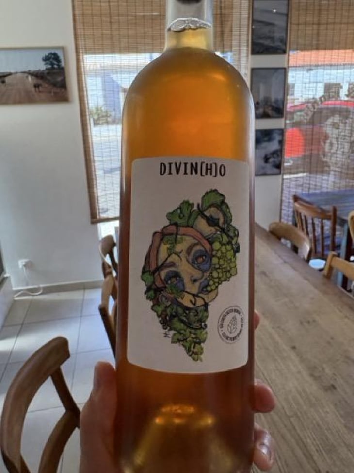 Divinho curtimenta - Quinta do Pinheiro - Fausto Araújo 