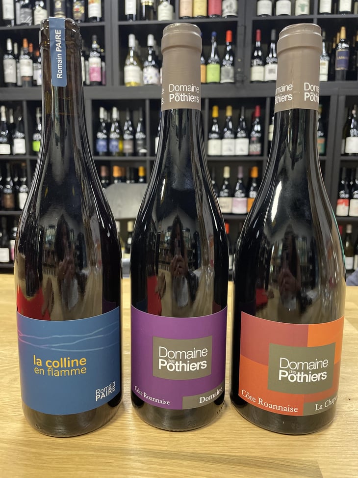 Domaine - Domaine des Pothiers - Denise, Georges & Romain Paire 