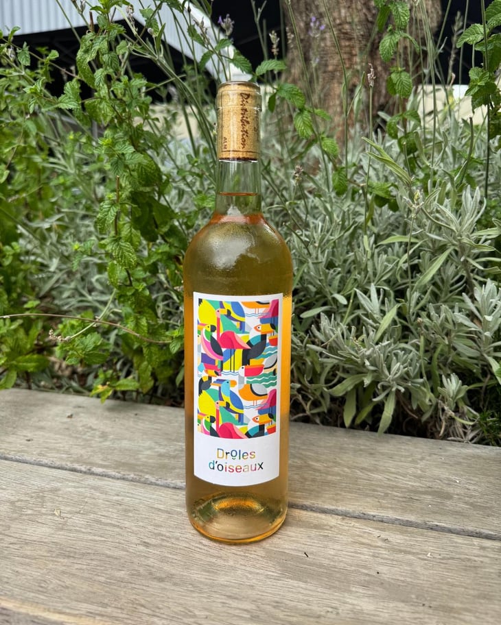 Drôles D’oiseaux - Domaine Des Seailles - Jean Labérenne 