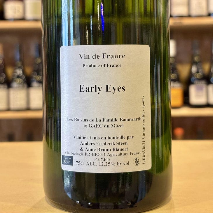 Early Eyes - Anders Frederik Steen & Anne Bruun Blauert - Anders Frederik Steen & Anne Bruun Blauert -2023