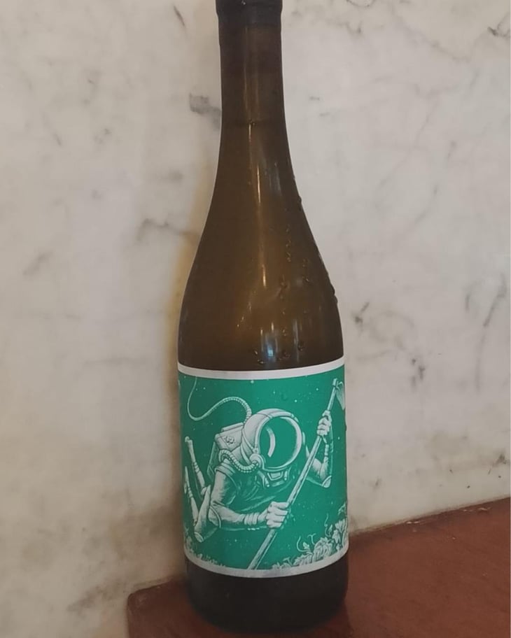 El Cosmonauta en el barranco de agua - El Mozo Wines - Bodegas Compañon Arrieta - El Mozo 