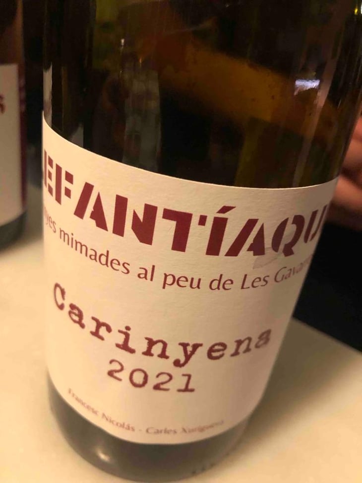 ELEFANTÍAQUES CARINYENA - ELEFANTÍAQUES - ELEFANTÍAQUES -2021