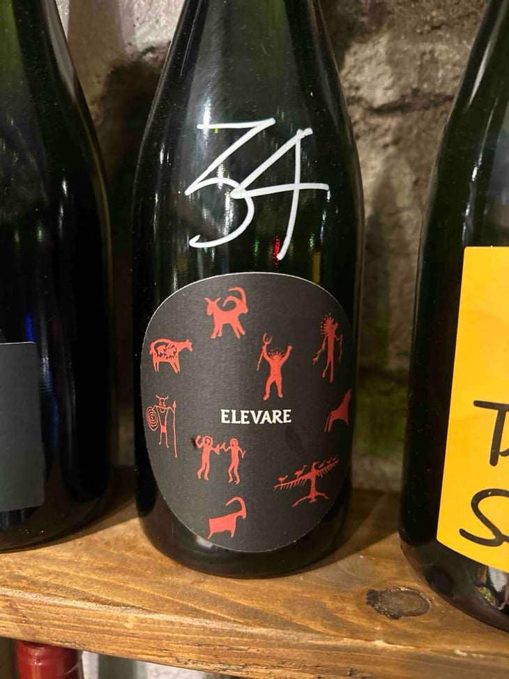 Elevare - Pedecastello - Alex Della Vecchia 