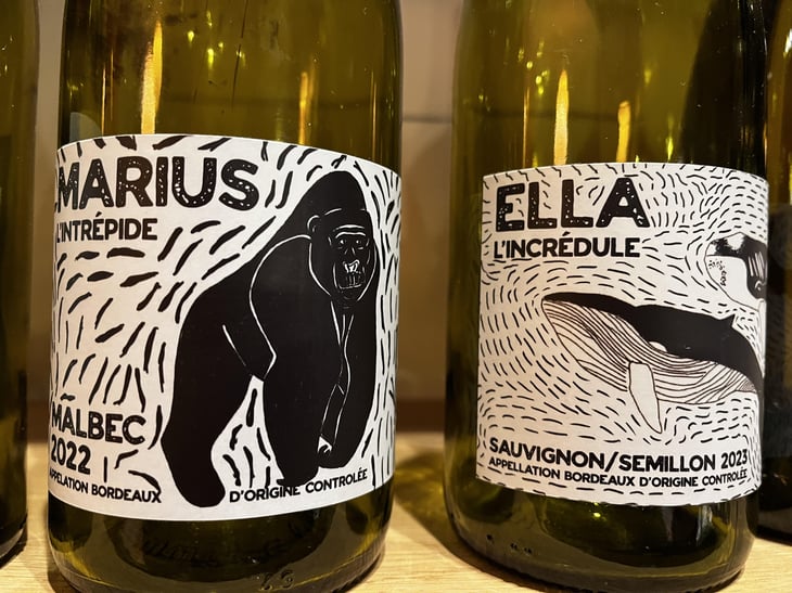 Ella l'incrédule - Domaine Chibaou - Christophe Rebillou -2023