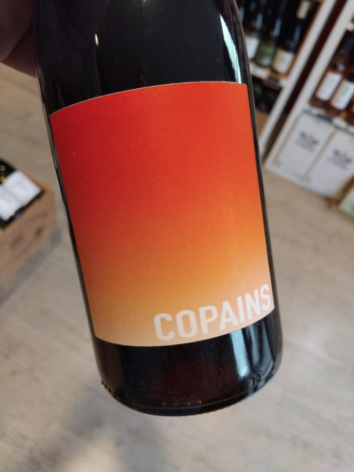En attendant les copains (rouge) - Domaine du Petit Oratoire - Lori Haon 