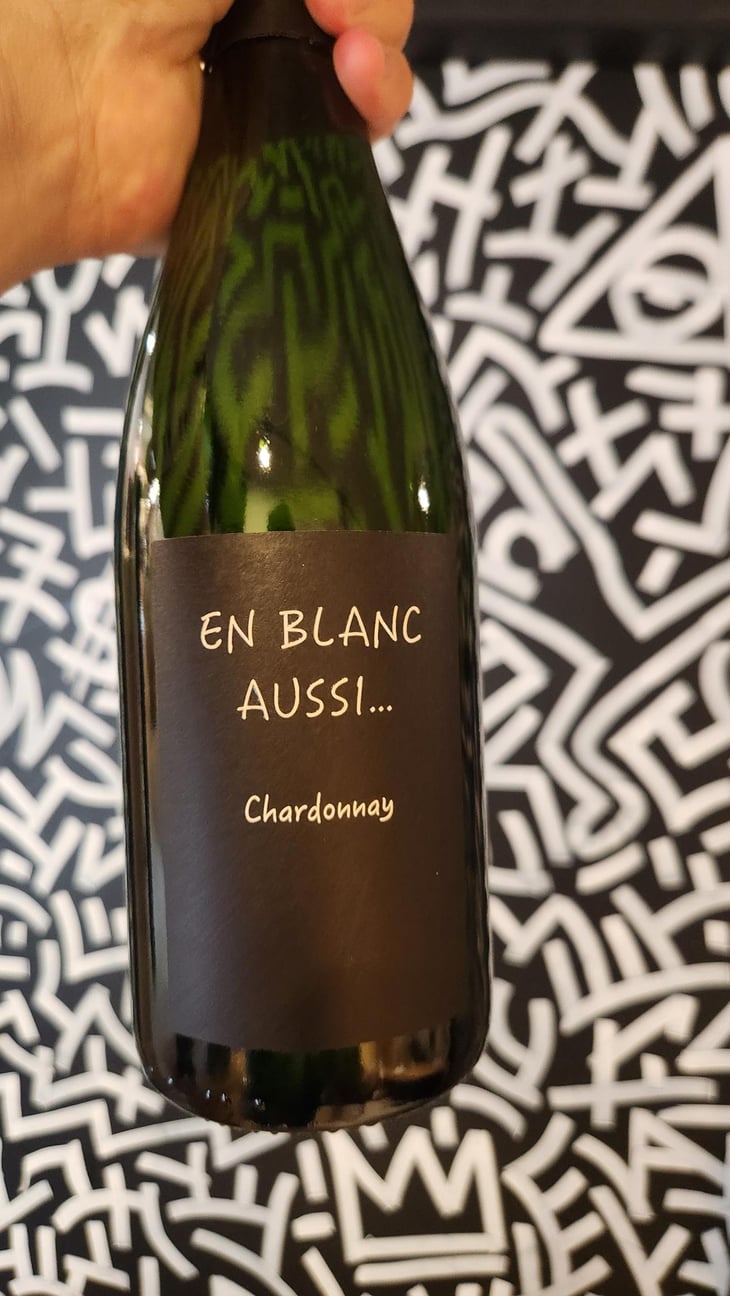 En Blanc Aussi... - Renardat-Fâche - Alain Renardat & Elie Renardat-Fâche 
