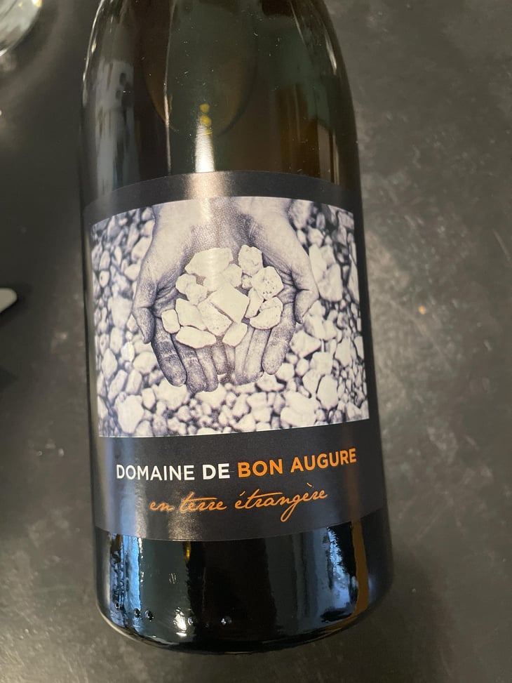 En Terre Étrangère - De Bon Augure - Cédric Guy 