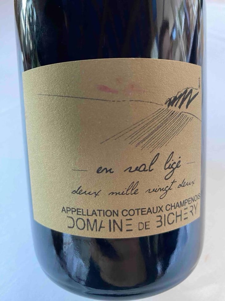 En val ligé - Champagne Bichery - Hannah & Raphaël Piconnet -2022