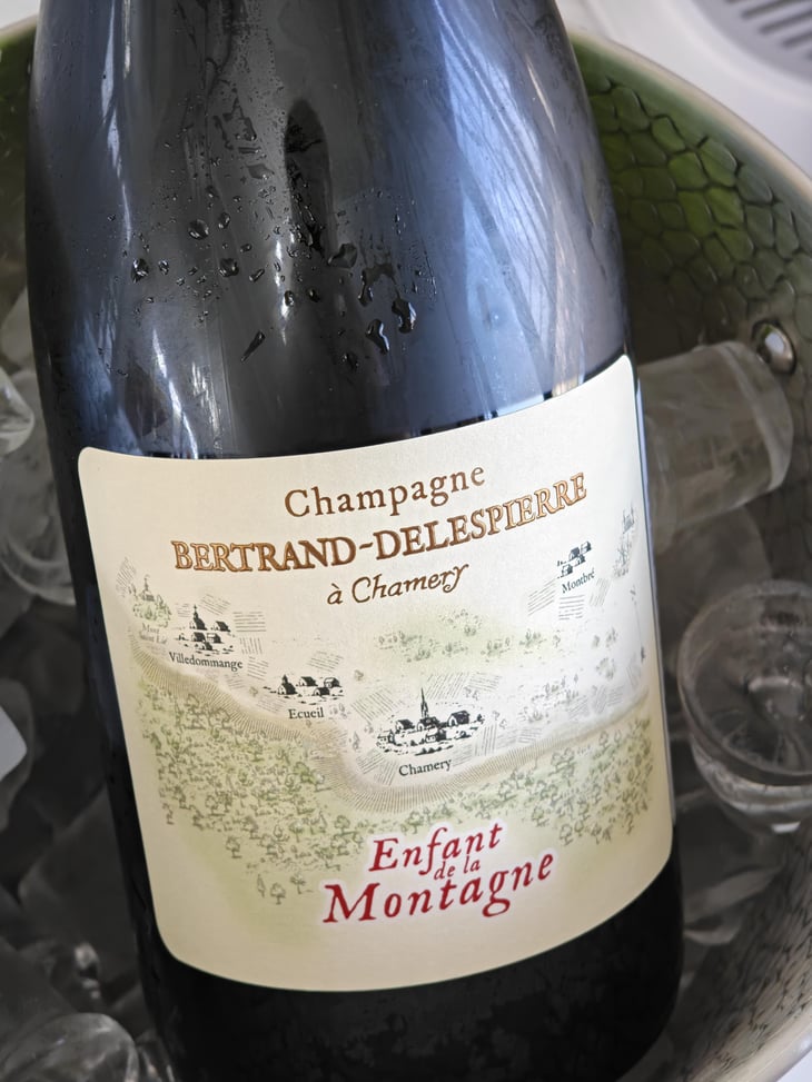 Enfant de La montagne - Champagne Bertrand-Delespierre - Clémence et Adrien Bertrand-Delespierre -2022