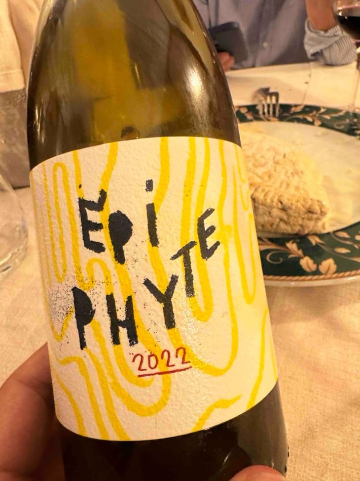 Epiphyte - Sandrine Farugia - Sandrine Farrugia 