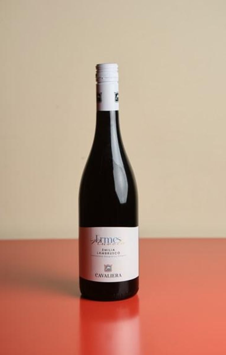 Ermes Nuvola Lambrusco - Cavaliera - Cavaliera 