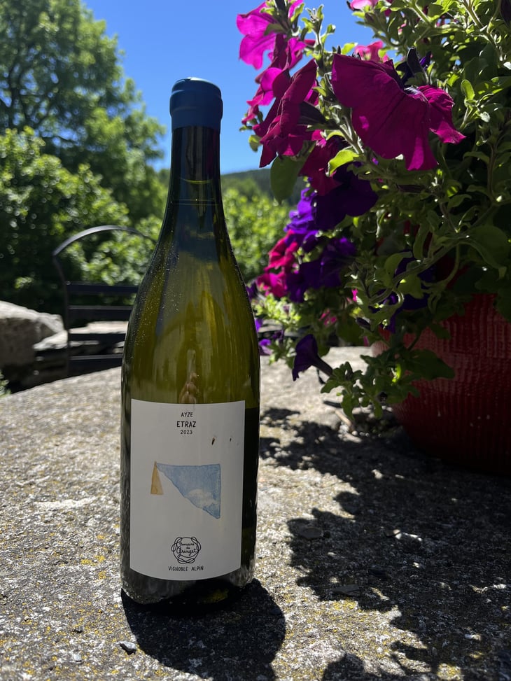 Etraz - Domaine du Gringet - Vincent Ruiz & Franck Balthazar 