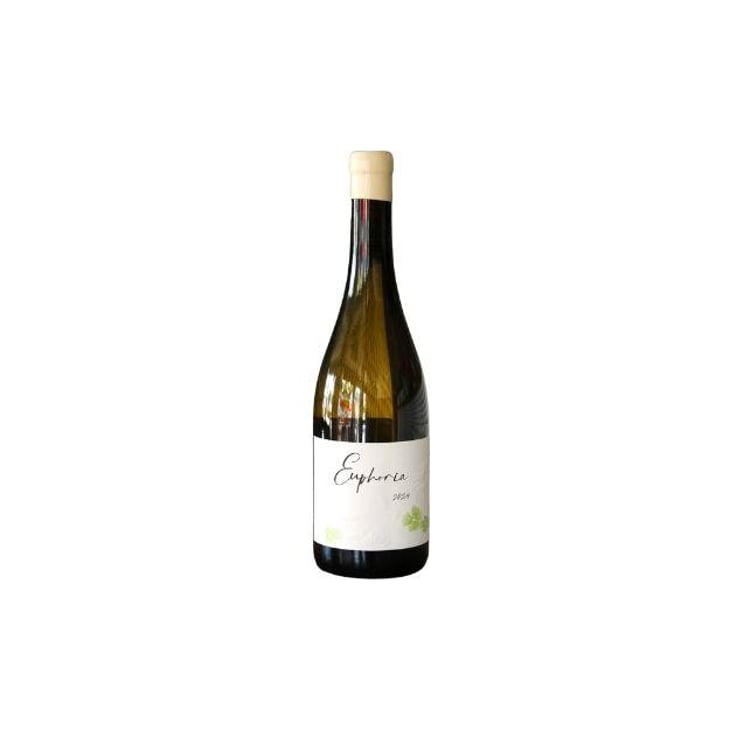 Euphoria Blanc - Domaine Jérémy Carteret - Jérémy Carteret -2024