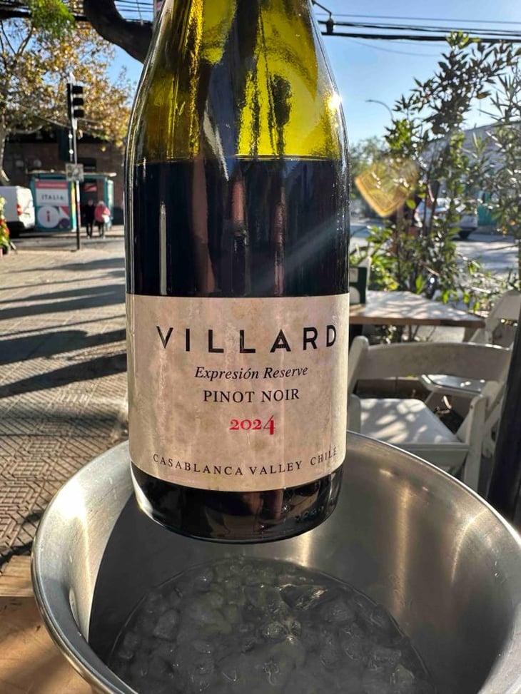 Expression - Villard Fines Wines - Villard Fines Wines -2019