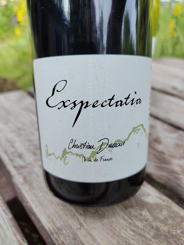 Exspectatia - Christian Ducroux - Christian Ducroux 