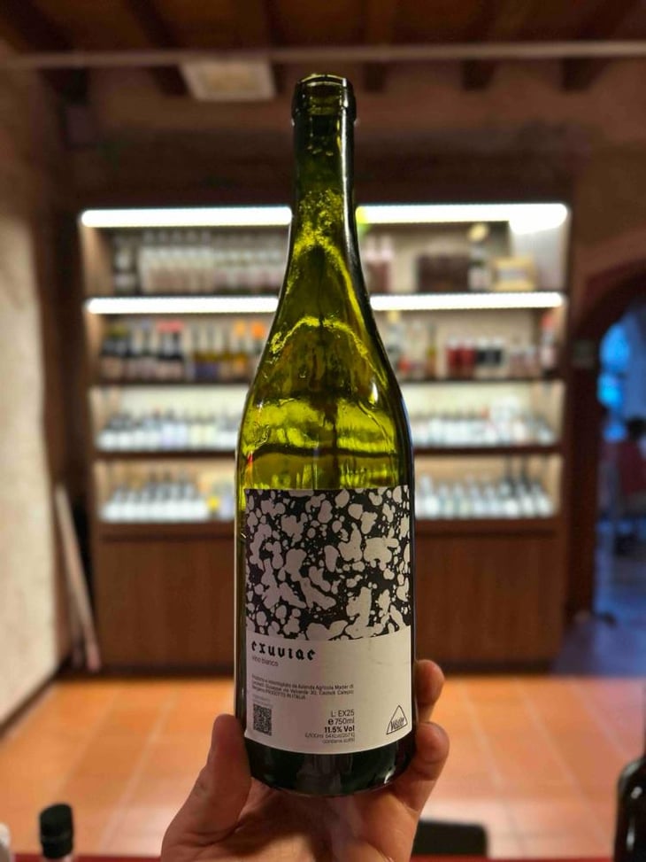 Exuviae - Mädèr Vino - Giuseppe Locatelli -2024
