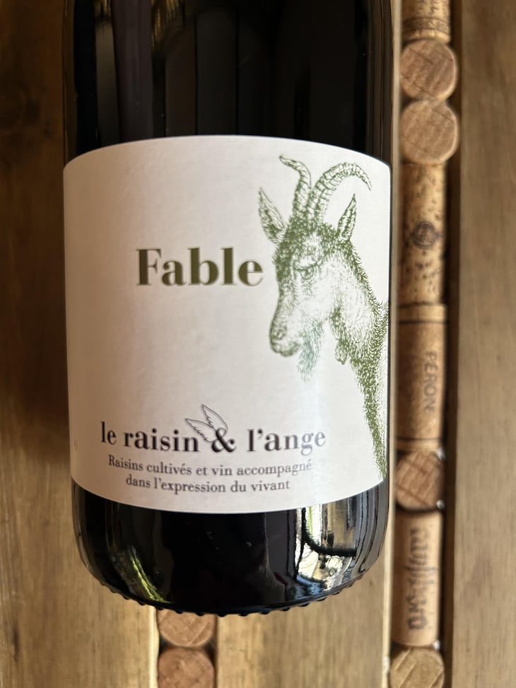 Fable - Le Raisin et l'Ange - Gilles & Antonin Azzoni 