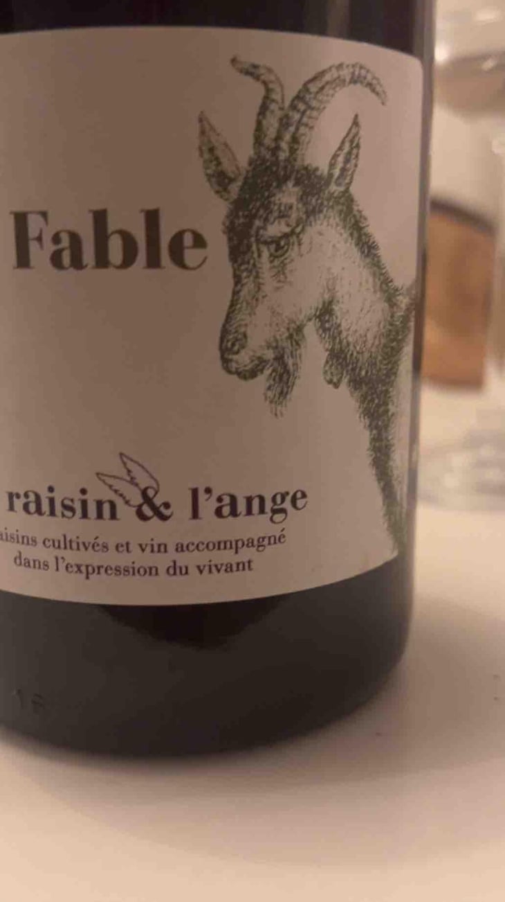 Fable - Le Raisin et l'Ange - Gilles & Antonin Azzoni 