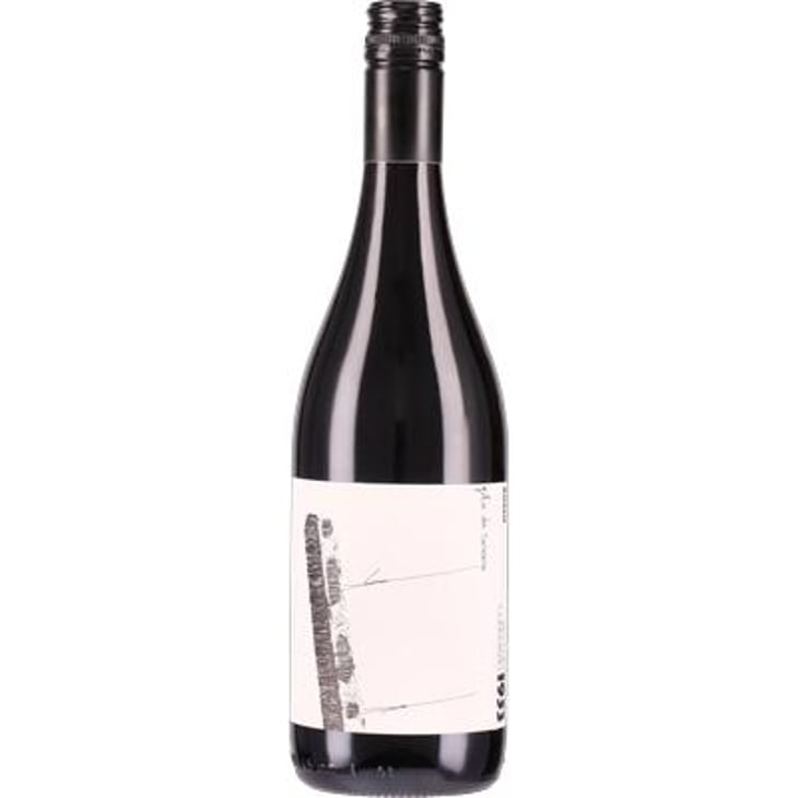 Filo da Torcere - Vecchio Consorzio 1953 - Vecchio Consorzio 1953 -2022