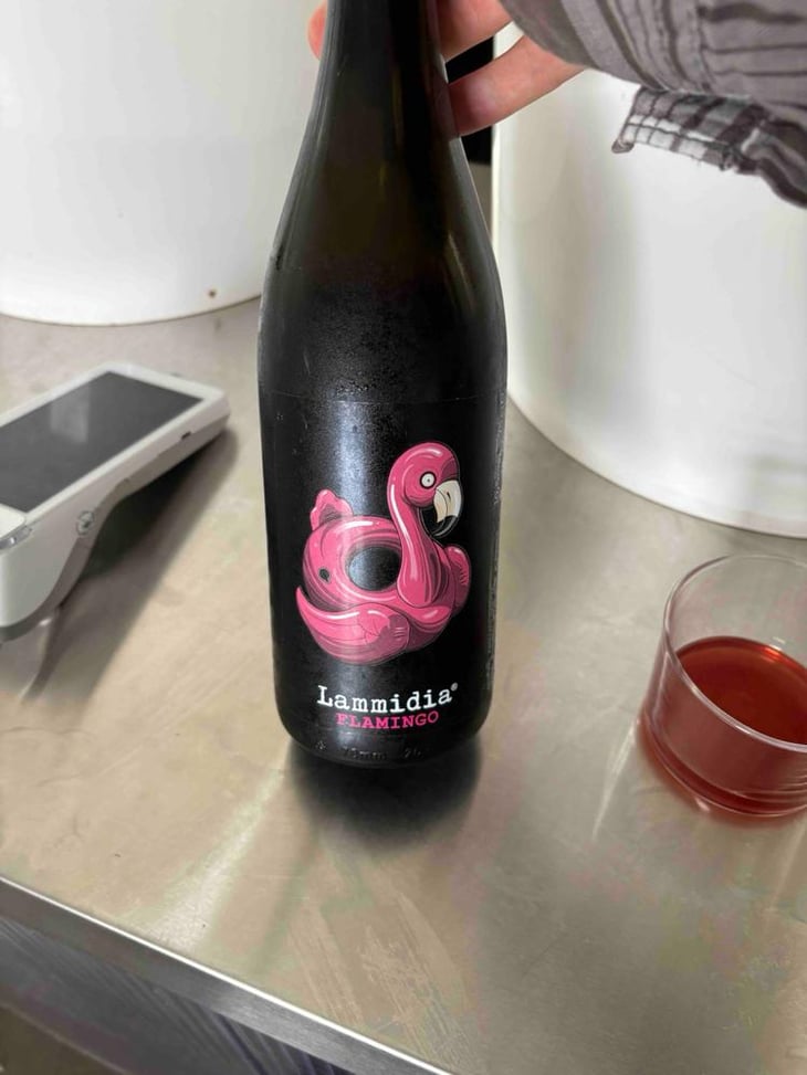 Flamingo - Lammidia - Marco Giuliani & Davide Gentile -2022