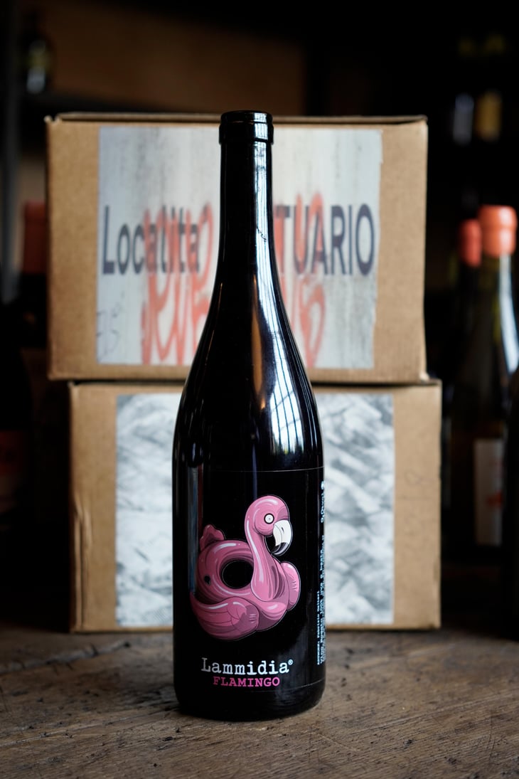 Flamingo - Lammidia - Marco Giuliani & Davide Gentile 