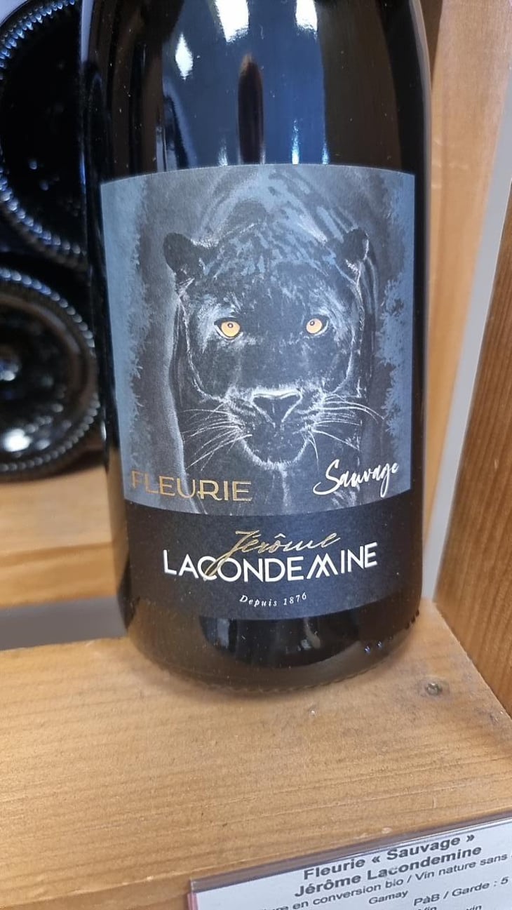 Fleurie - Sauvage - Jérôme Lacondemine - Jérôme Lacondemine -2023