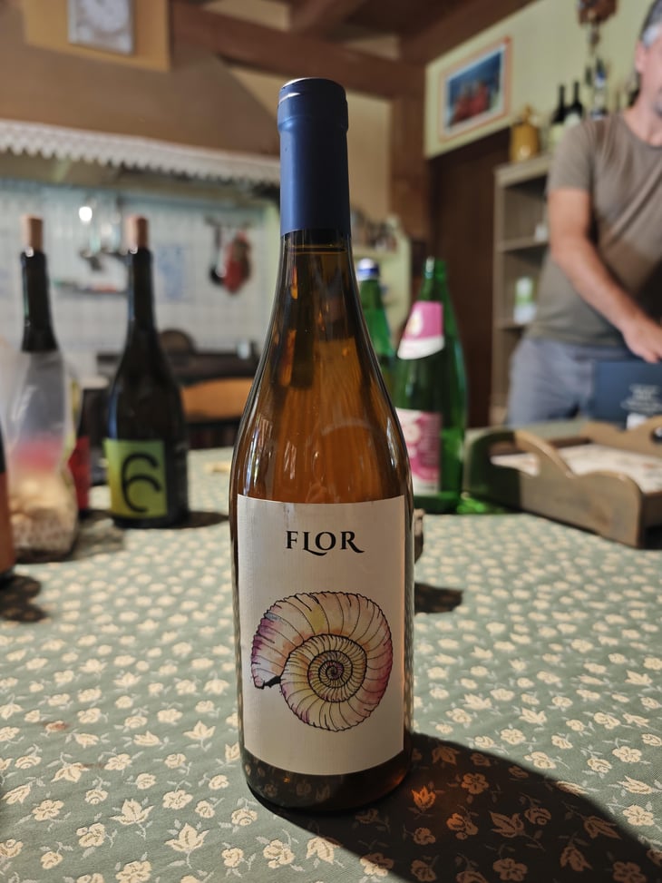 Flor - Azienda Agricola Pialli - Alessandro Pialli -2023