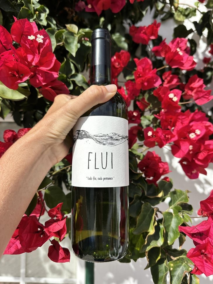 Flui - Quinta do Paço (Humus) - Rodrigo Filipe -2020