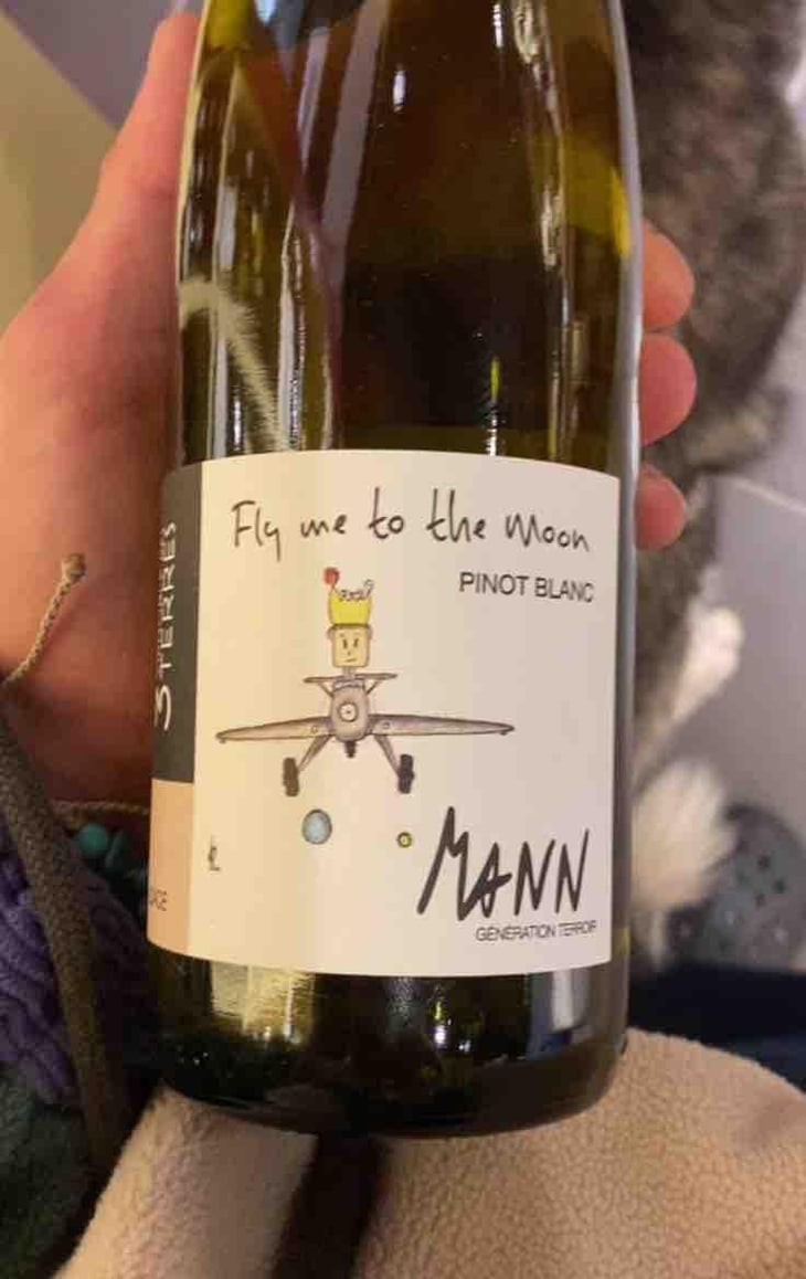 Fly me to the Moon - Domaine Mann - Vignoble Des 3 Terres - Sébastien, Jean-Louis & Fabienne Mann 