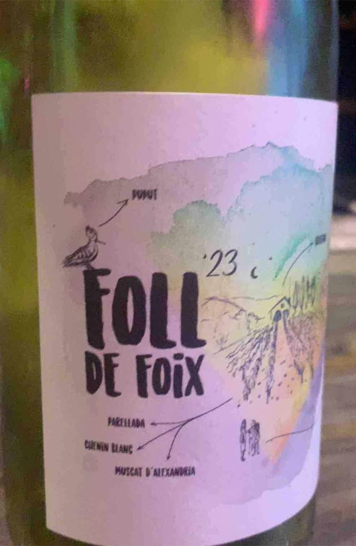 Foll de Foix - Lavinaventura Vins - Emi Gomez Ventura 