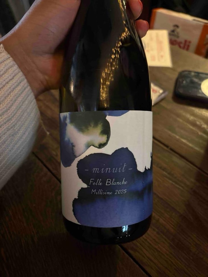 Folle Blanche Minuit - 1006 Vins de Loire - Pauline Lair -2024