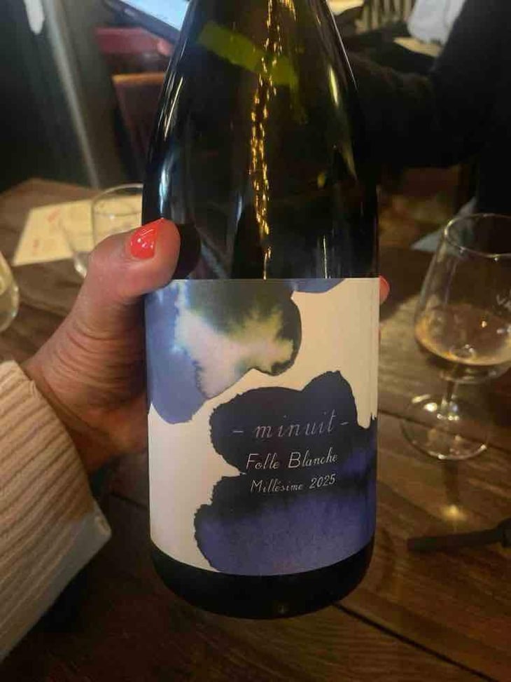 Folle Blanche Minuit - 1006 Vins de Loire - Pauline Lair -2024