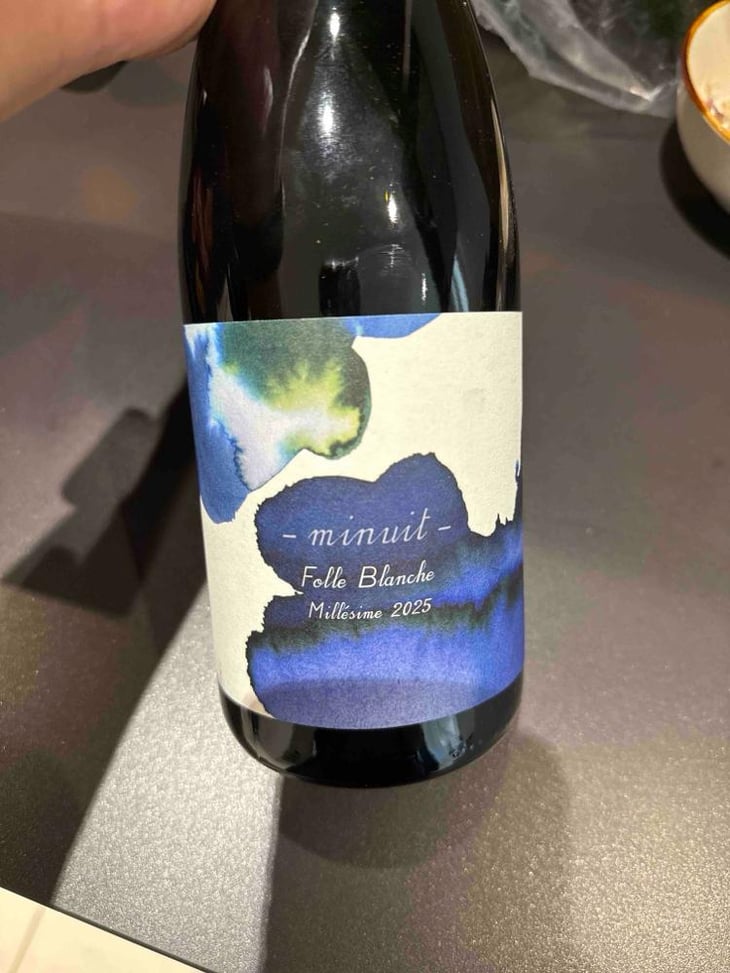 Folle Blanche Minuit - 1006 Vins de Loire - Pauline Lair -2024