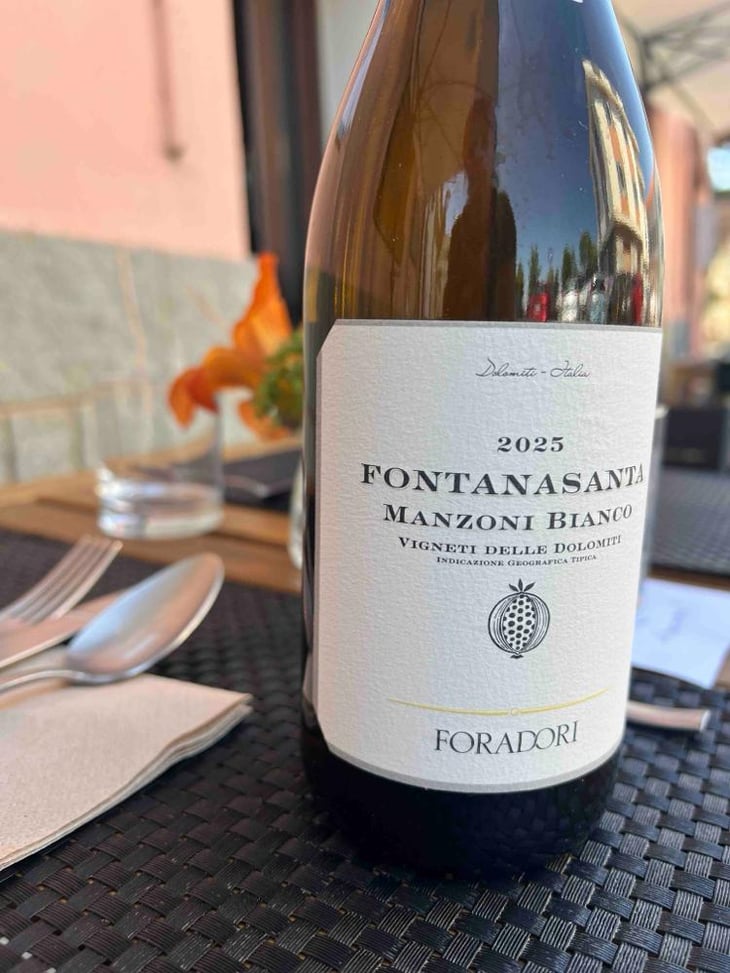 Fontanasanta Manzoni Bianco - Azienda Agricola Foradori - Elisabetta Foradori 