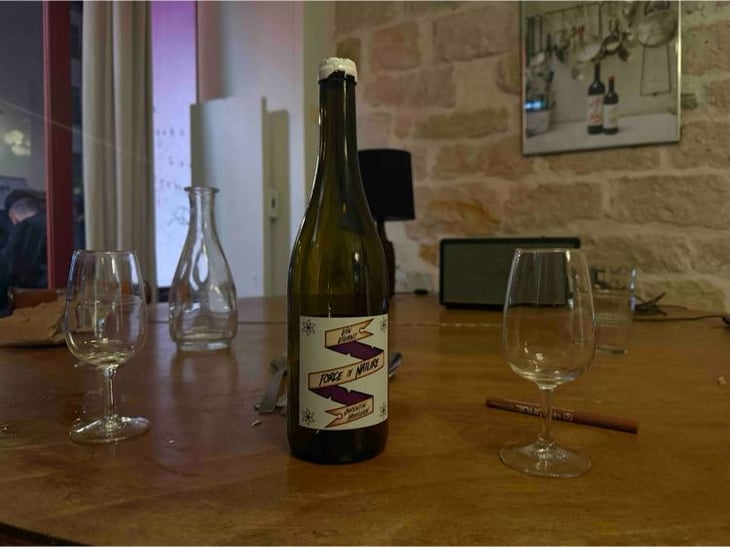 Force of Nature - Flower Bird’s Place - Domaine de Veronnet - Corentin Houillon 