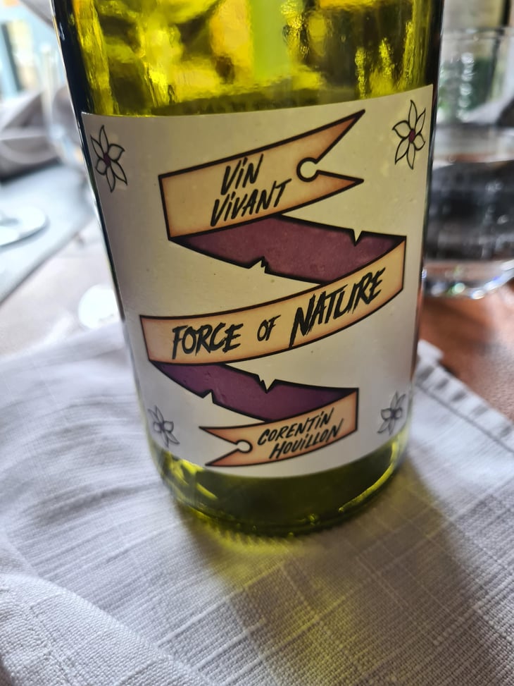 Force of Nature - Flower Bird’s Place - Domaine de Veronnet - Corentin Houillon 