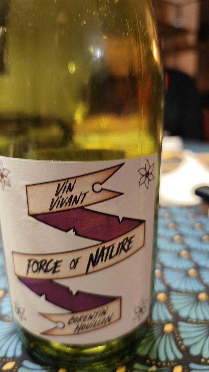 Force of Nature - HC-vins - Corentin Houillon 