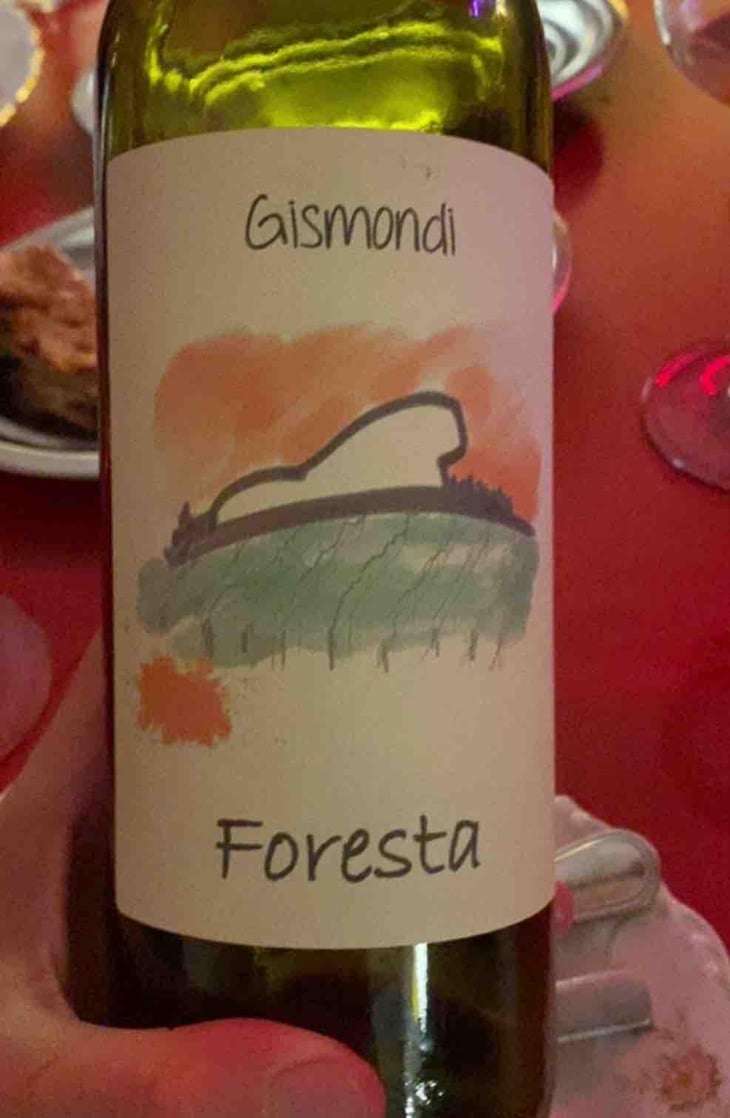 Foresta - La Vinicola di Antonio Gismondi - Anabel & Antonio Gismondi -2021