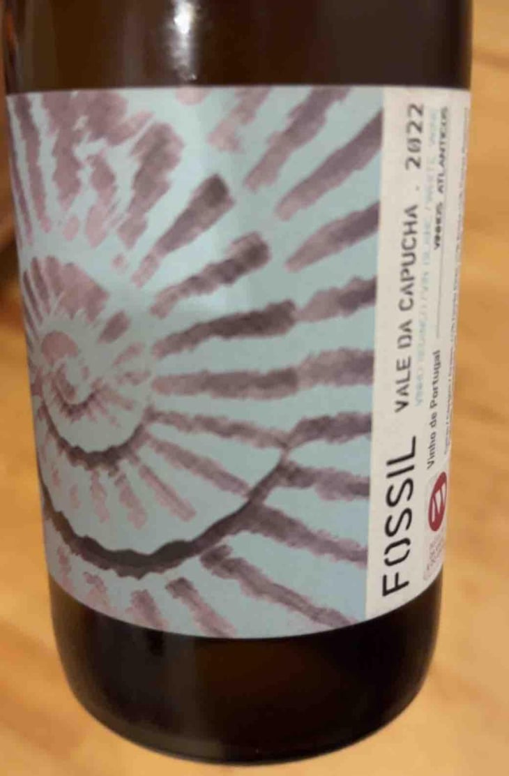 Fossil Branco - Vale da Capucha - Pedro Marques 