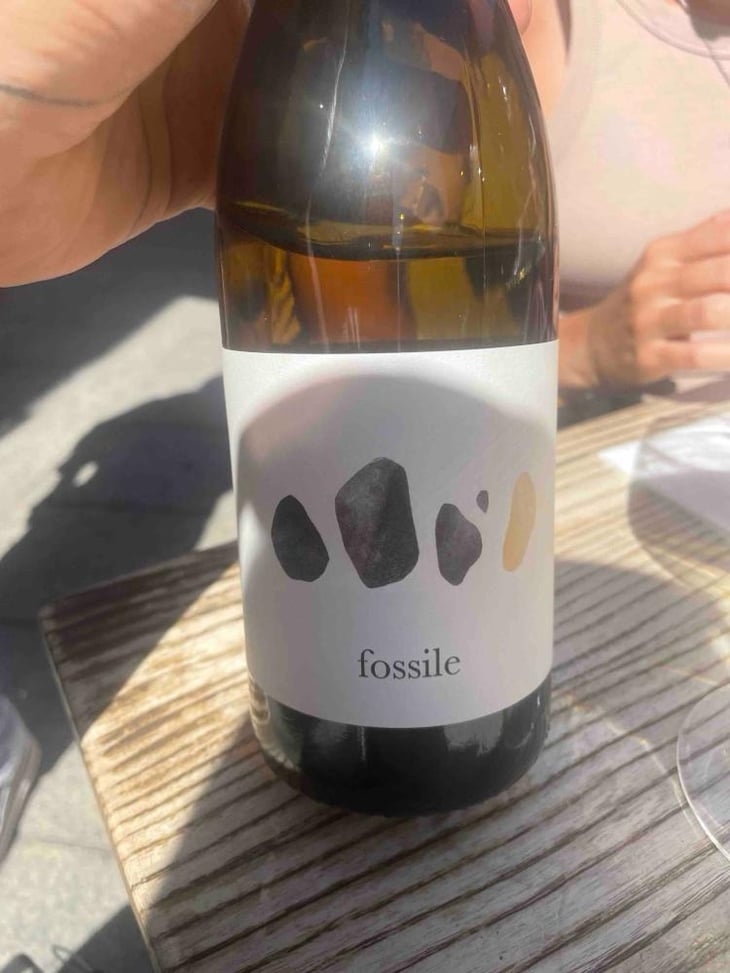 Fossile - Vigne Pinna - Giuseppe Pinna -2023