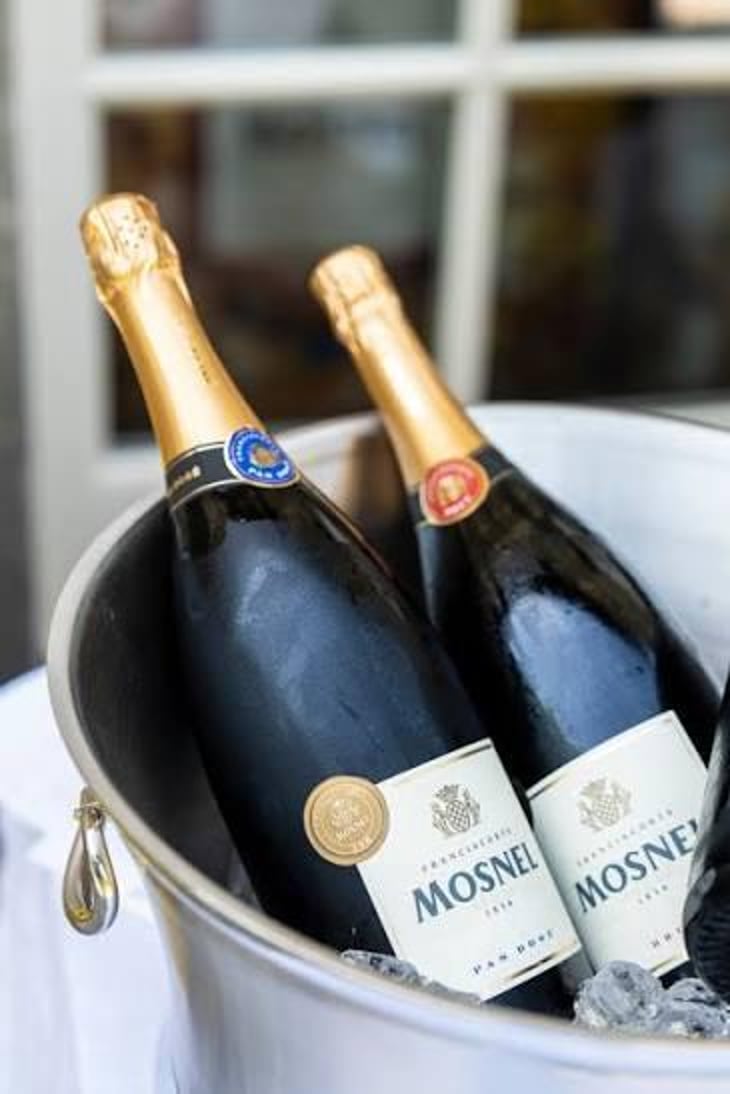 Franciacorta Brut - Mosnel - Flavio Polenghi 