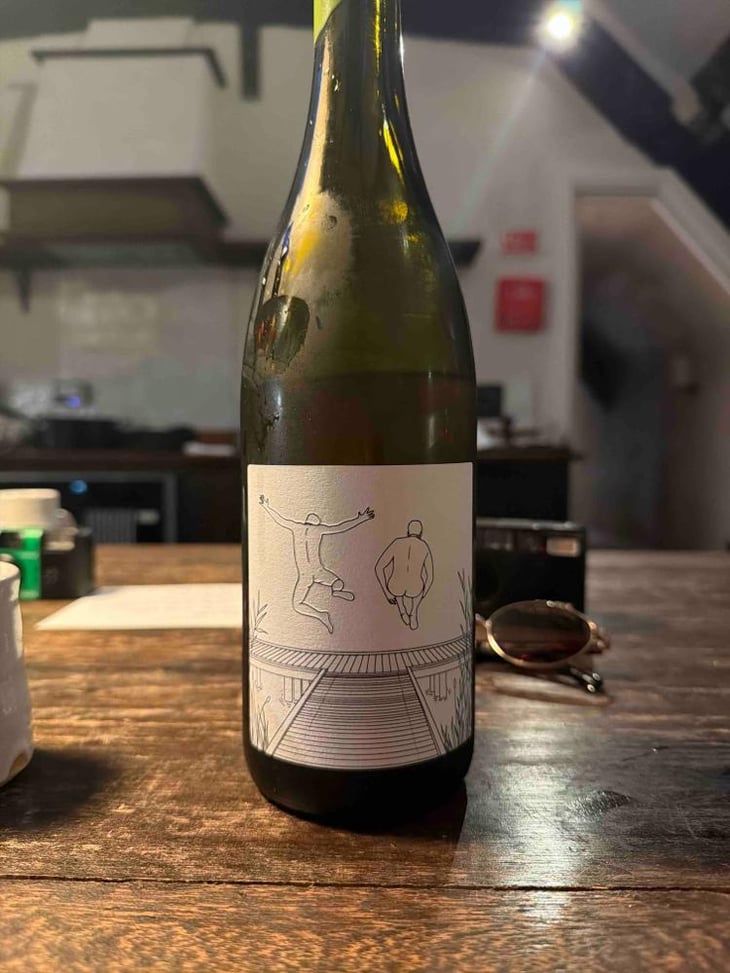 Freisprung Grüner Veltliner - RauSchnitt Weine - Michael Nittnaus & Mathias Rauscher -2020