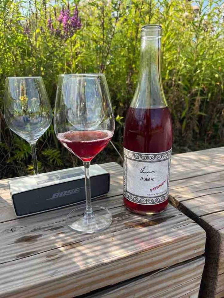 Frenzy - Weingut Claus Preisinger - Claus Preisinger -2023