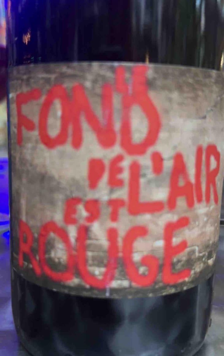 Frida - Les Foulards Rouges - Jean-Francois Nicq 