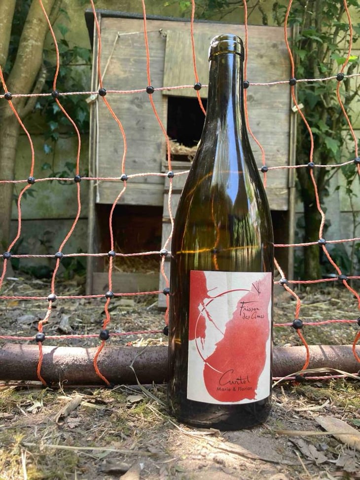 Frisson Des Cimes (Red Label) - Marie et Florian Curtet Vignerons - Marie & Florian Curtet 