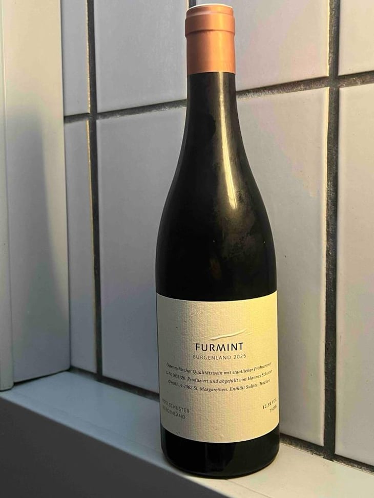 Furmint - Weingut Rosi Schuster - Hannes Schuster -2023