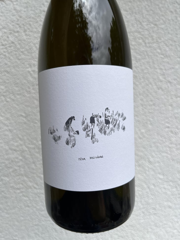 Furmint - Péter Nagyváradi - Péter Nagyváradi 