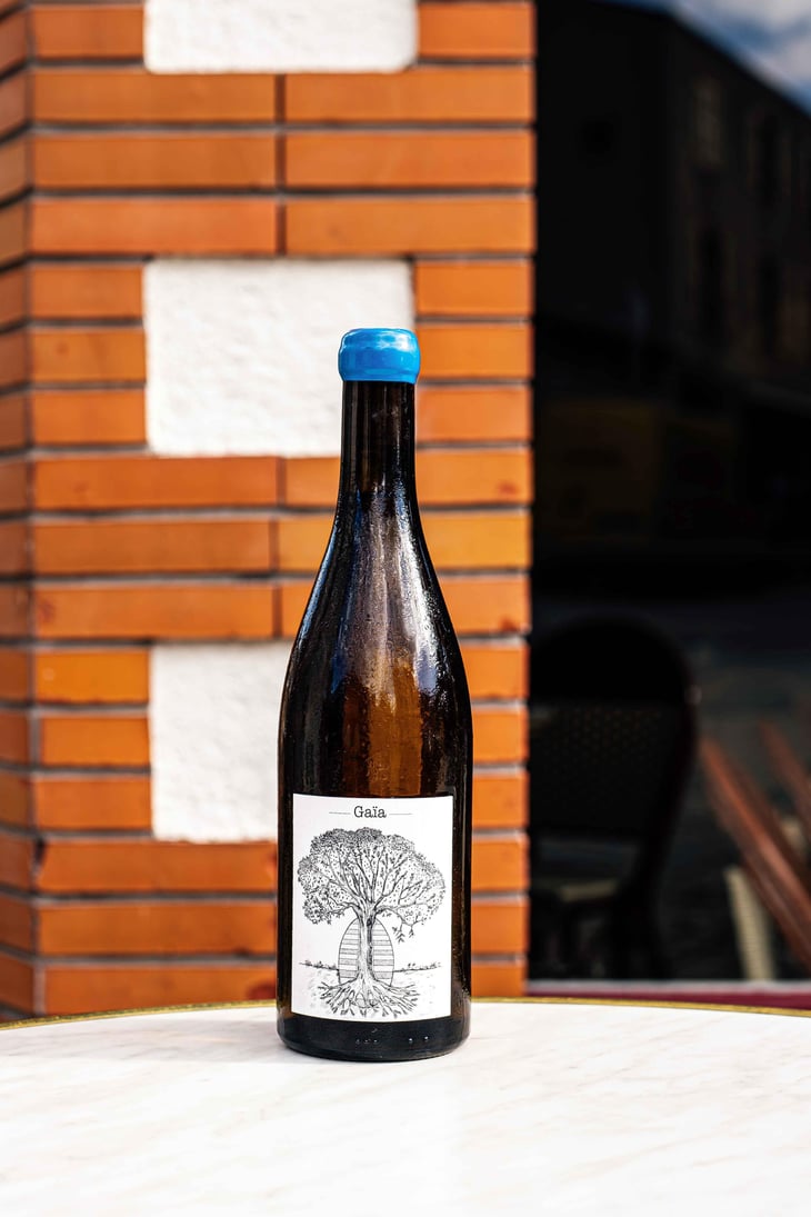 Gaïa - Domaine de Bellevue - Jérôme Bretaudeau 